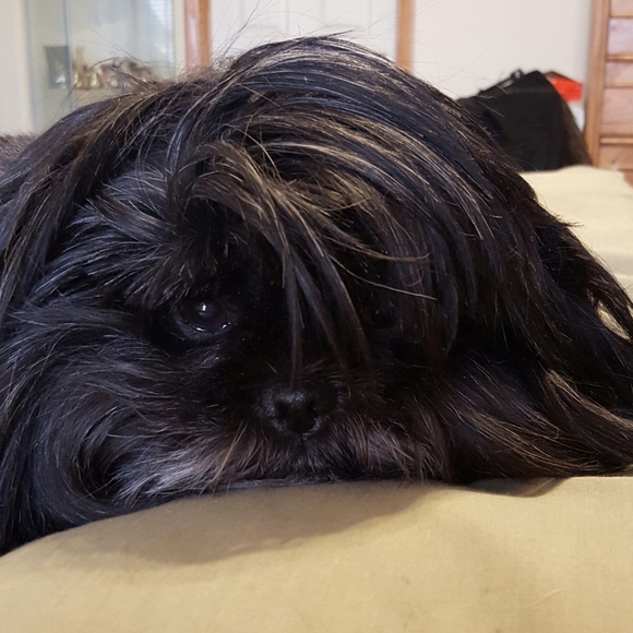 Meet your Posher, Kande - Picture 2 of 8